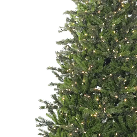 Carolina Pine Christmas Tree Prelit Clear+ Multi LED - HOLIDAY TREE {4}