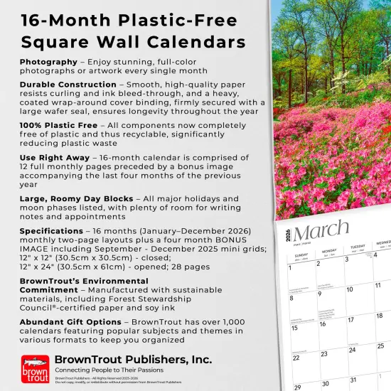 Old Dominion | Virginia Places | 2026 12 x 24 Inch (Hanging) Monthly Square Wall Calendar | Plastic-Free {6}