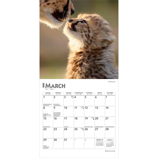 Baby Animals | 2026 7 x 14 Inch (Hanging) Monthly Mini Wall Calendar {3}