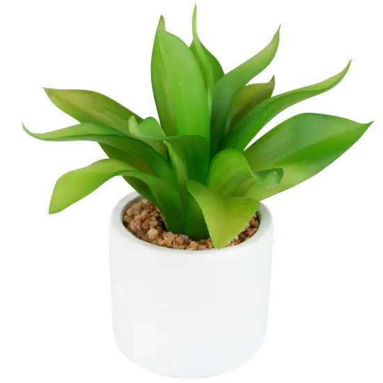 Northlight Artificial Mini Foxtail Agave Plant in a White Pot - 8" Green {4}
