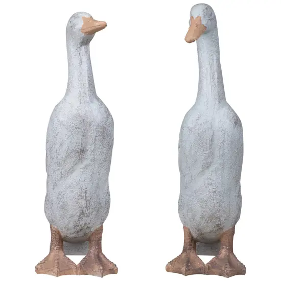 Northlight Ducks Outdoor Garden Statues - 17.25" - Set of 2 White {3}