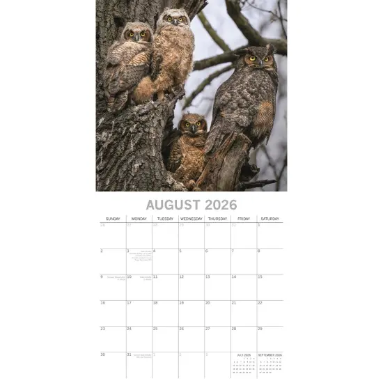 The Gifted Stationary 2026 Square Wall Calendar, Owls, 16-Month Animals Theme Hanging Calendar with 180 Reminder Stickers, Month Planner for Home, Creative Spaces, 12x12 In Multicolor {3}