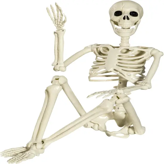 3ft Halloween Skeleton Full Body Posable {1}