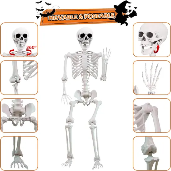 1PC Halloween Skeleton Poseable {2}