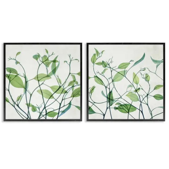 Stupell Industries Green Botanical Leaves Xray 2 pc Framed Giclee Wall Art Set Design by Victoria Barnes {1}