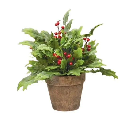 Potted Dazzling Holly {1}