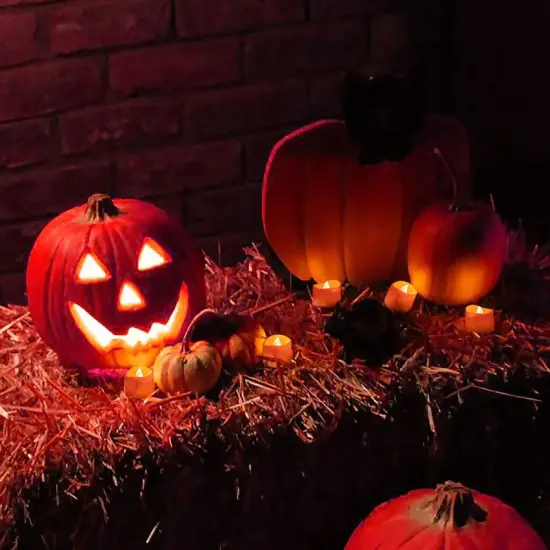 24 Pack Halloween Tea Lights {3}