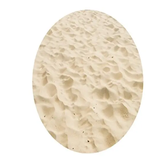 Real Beach Sand Edible Icing Image for Cake or Cupcake Cookie Topper {4}