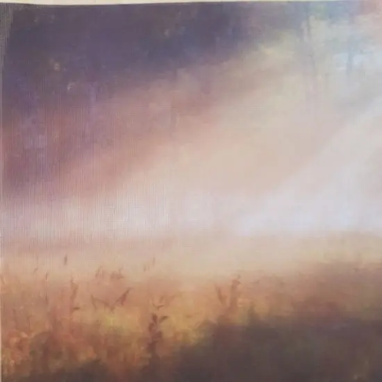 Misty Morning Designer Printed AIDA Fabric. Canvas for embroidery with an applied backgroundKF-1055A {1}