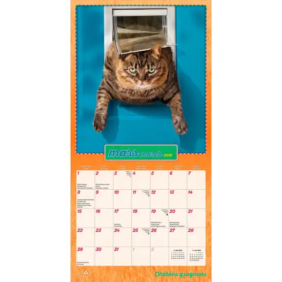 Avanti Chatons Grognons OFFICIEL | 2026 7 x 14 Inch (Hanging) Monthly Mini Wall Calendar | French Language | BrownTrout | Angry Cat Humor {3}