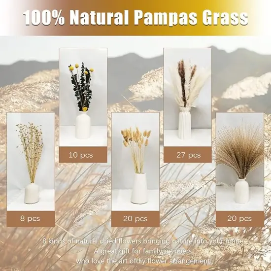 Natural Pampas Grass Decor Boho Dried Flowers Bouquet with Bunny Tails, Reed Grass for Wedding Boho Home Table Decor {3}
