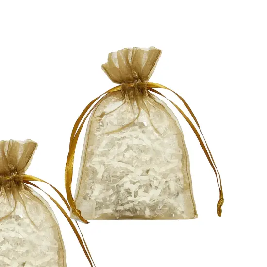 6&rdquo; x 9&rdquo; Organza Drawstring Bags Perfect for Small Gifts {6}