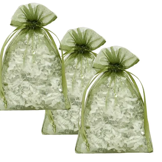 2&rdquo; x 3&rdquo; Organza Bags Perfect for Candies and Treats {2}