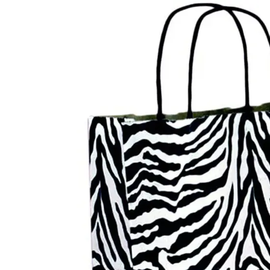 Printed Paper Shopping Bags with Brown Interior Compact 6" x 3 1/4" x 8 3/8" {3}