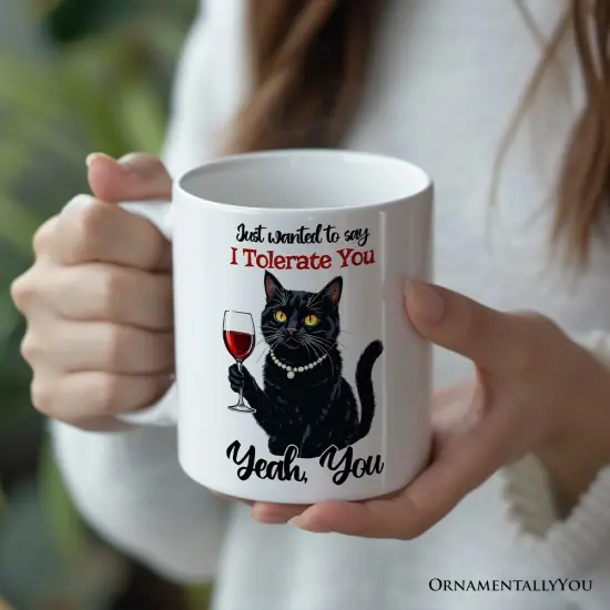 Just Wanted to Say I Tolerate You Mug, Funny Sarcastic Black Cat Lover Gift {2}