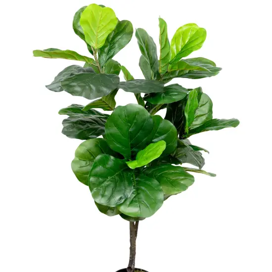 Northlight Potted Two Tone Green Artificial Wide Fiddle Leaf Fig Tree - 4' {4}