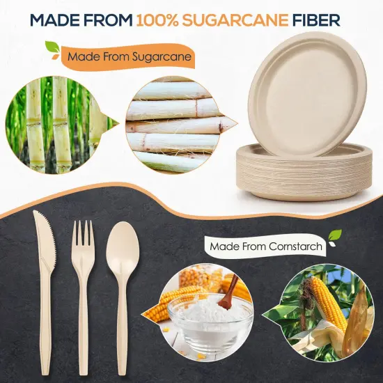250 Pieces Disposable Paper Plates Set, Compostable Plate Sugarcane Utensils Eco Friendly Dinnerware Kit Includes 50 Biodegradable Plates, Forks, Knives and Spoons for Brithday Party Camping {1}