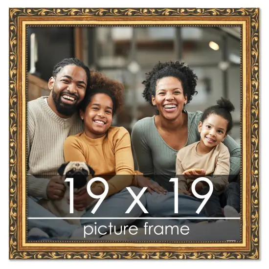 19x19 Museum-Quality Picture Frame with UV-Resistant Acrylic & Acid-Free Backing, Available in 4 Finishes - Gold, Silver, Bronze, and Black {1}