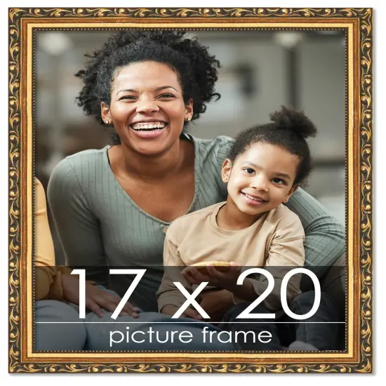17x20 Museum-Quality Picture Frame with UV-Resistant Acrylic & Acid-Free Backing, Available in 4 Finishes - Gold, Silver, Bronze, and Black {1}
