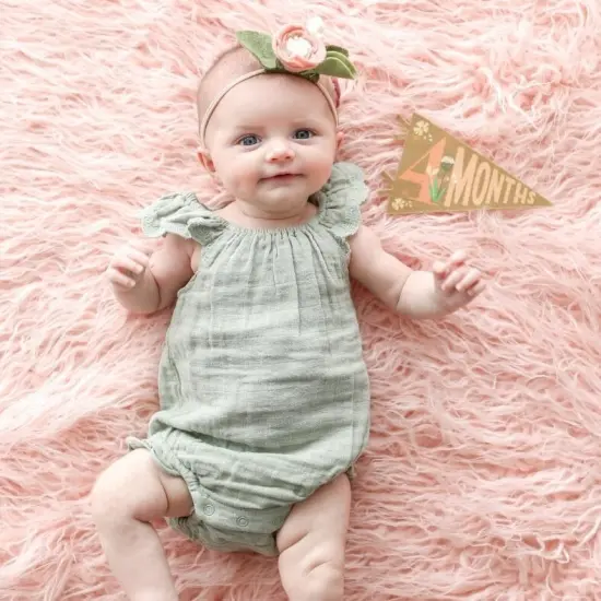 LITTLE ARTIST PETIT MILESTONE PENNANTS {4}