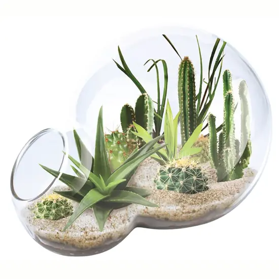 Unique Gardener: Desert Escape Growarium - DIY Double-Sphere Glass Terrarium Starter Kit, Grow Cacti & Succulents, Mini Nature Plants, Adults & Kids {3}