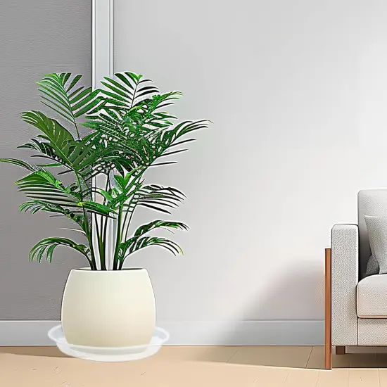 6 Pack Plant Saucers of 14 Inch {5}