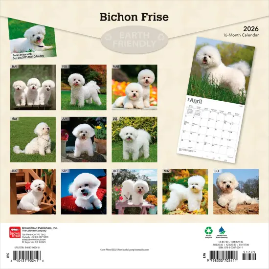 Bichon Frise | 2026 12 x 24 Inch (Hanging) Monthly Square Wall Calendar | Plastic-Free {2}