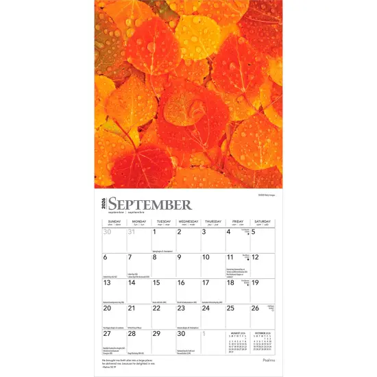 Psalms | 2026 7 x 14 Inch (Hanging) Monthly Mini Wall Calendar {4}