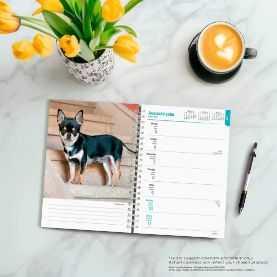Chihuahuas | 2026 6x7.75 Inch Spiral-Bound Wire-O Weekly Engagement Planner Calendar | New Full-Color Image Every Week {5}