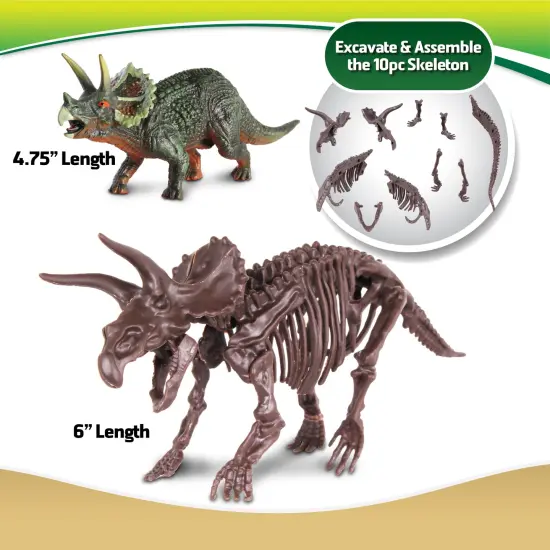 WowWorld: Dino Dig - Triceratops - All-In-One Dinosaur Skeleton Excavation Kit, Tools & Construction Figurine, Educational Science Toy, Kids Ages 6+ {4}
