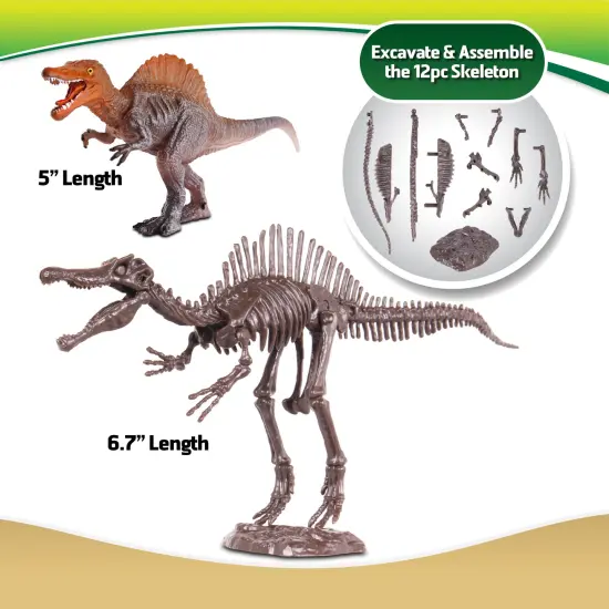 WowWorld: Dino Dig - Spinosaurus - All-In-One Dinosaur Skeleton Excavation Kit, Tools & Construction Figurine, Educational Science Toy, Kids Ages 6+ {4}