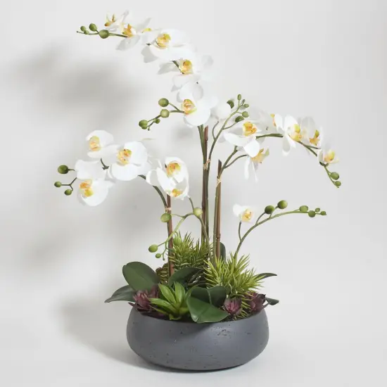 Faux Orchid Plant w/Succulents, Premium Artificial Indoor Flower Display Stands 24” w/Beautiful Sculptural Blooms and Succulents That Lasts Forever, Grey Planter Pot Included {1}
