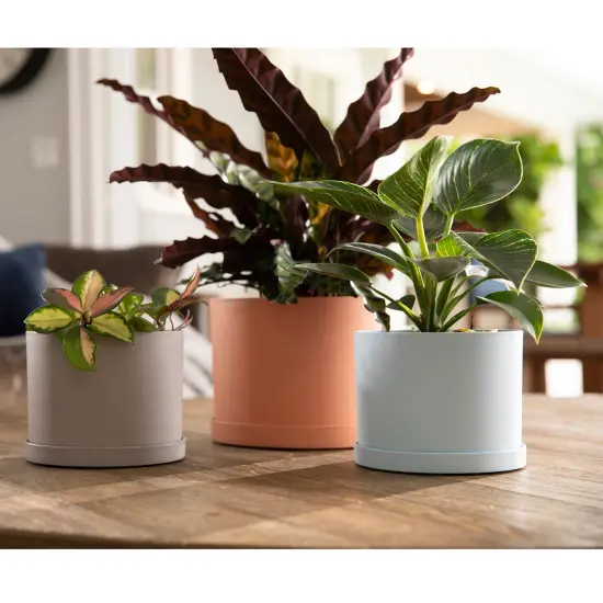 Bloem Mathers Planter w/ Saucer Tray8" Muted Terra Cotta {6}