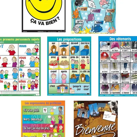 Poster Pals French Educational & Language Teaching basic Posters, large colorful charts, classroom reference and instruction, FSL, 7 pack {6}