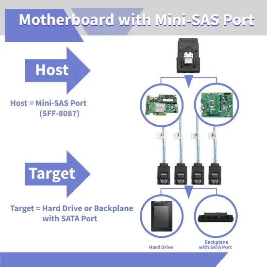Mini SAS to 4 SATA Transfer Cable, with Tags, Connects a Blue, 3.3 ft. {3}