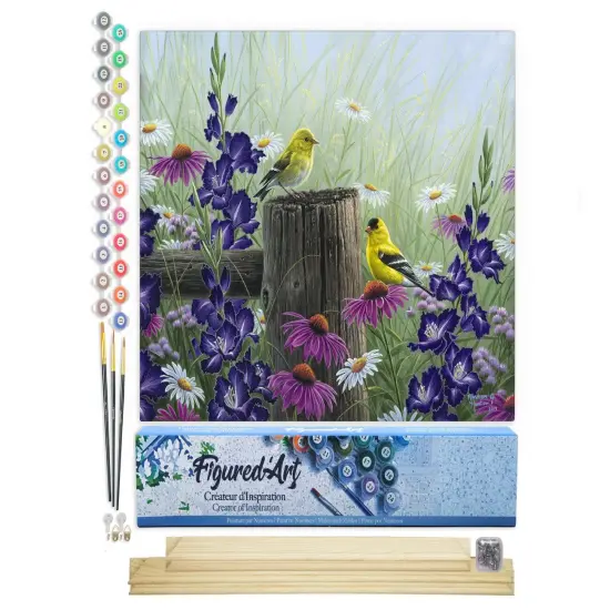 Figured'Art Paint by Numbers Kit for Adults Goldfinch Birds 16"x20" - Craft Art Painting Rolled Canvas with DIY wooden frame {1}