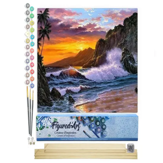 Figured'Art Paint by Numbers Kit for Adults Cliff and Waves 16"x20" - Craft Art Painting Rolled Canvas with DIY wooden frame {1}
