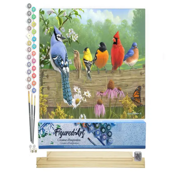 Figured'Art Paint by Numbers Kit for Adults Birds On A Fence 16"x20" - Craft Art Painting Rolled Canvas with DIY wooden frame {1}