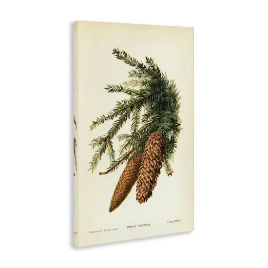 Stupell Industries Spruce & Fir Cones Canvas Wall Art Design by Tina Higgins Designs, Inc. {3}