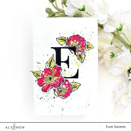 Classic Alphabet Die Set {5}