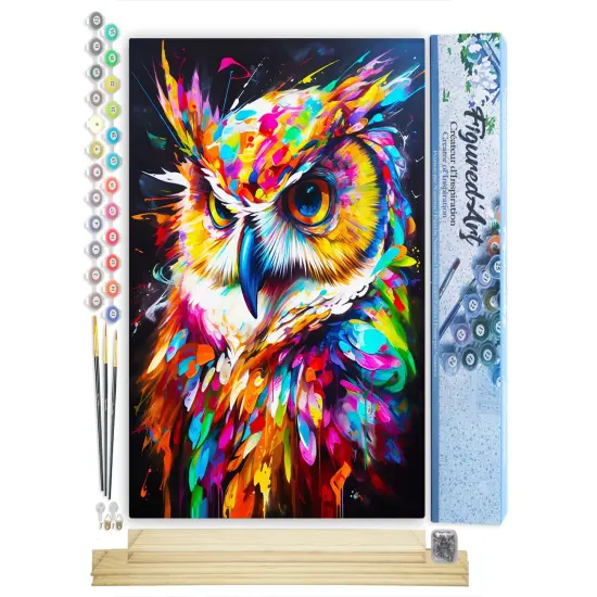 Figured'Art Paint by Number for Adults Colorful Abstract Owl 16"x20" - Craft Art Painting Rolled Canvas with DIY Wooden Frame {1}