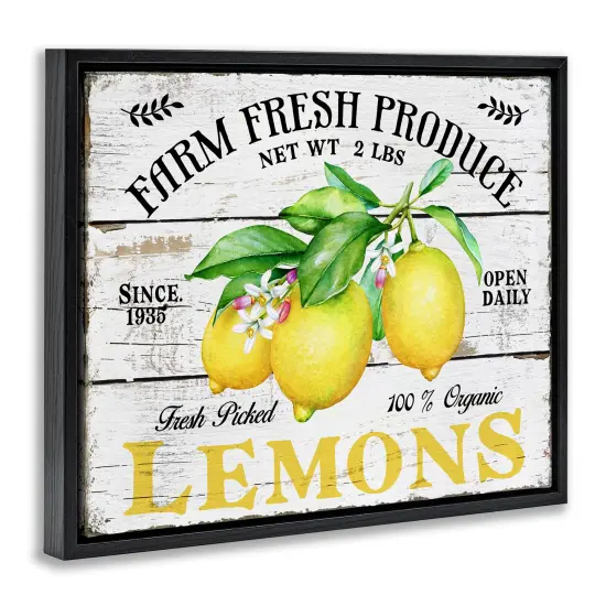 Stupell Industries Farm Fresh Produce Lemons Floater Framed Canvas Wall Art Design by Creatif Belle {3}