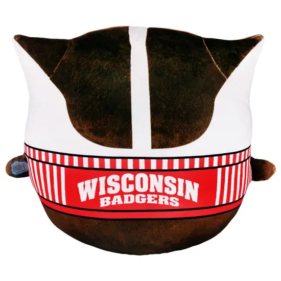 Sleep Squad Wisconsin Badgers Bucky Badger 12" Mascot Kiri Cloud Plushie {5}