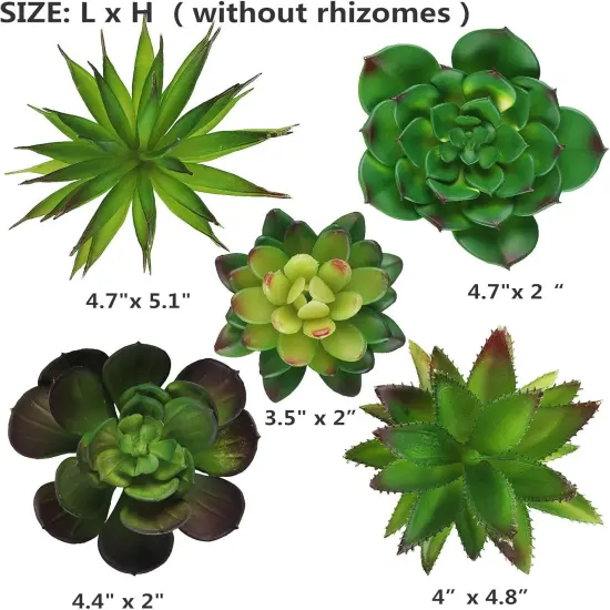 5 Pcs Faux Succulents Set,Realistic Large Fake Succulents,Artificial Hanging Ornaments Fleshed Plant Textured for Home Garden Wedding Party Decoration (Green) {2}