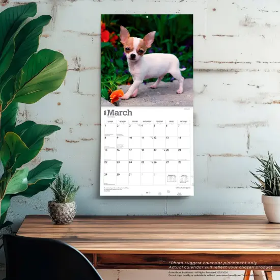 Chihuahua Puppies | 2026 12 x 24 Inch (Hanging) Monthly Square Wall Calendar | Plastic-Free {5}