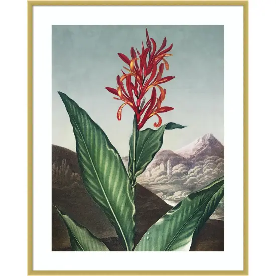 Temple of Flora I by Dr. robert j. Thornton Wood Framed Wall Art Print {1}