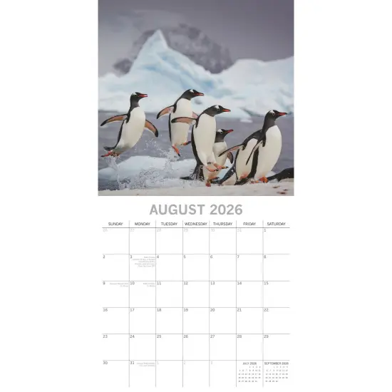 The Gifted Stationary 2026 Square Wall Calendar, Penguins 16-Month Animals Theme Hanging Calendar with 180 Reminder Stickers, Month Planner for Creative Spaces, 12x12 In Multicolor {3}