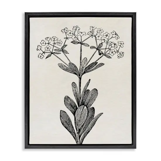 Stupell Industries Classic Cuts Botanicals Floating Frame, design by Karen Smith {1}