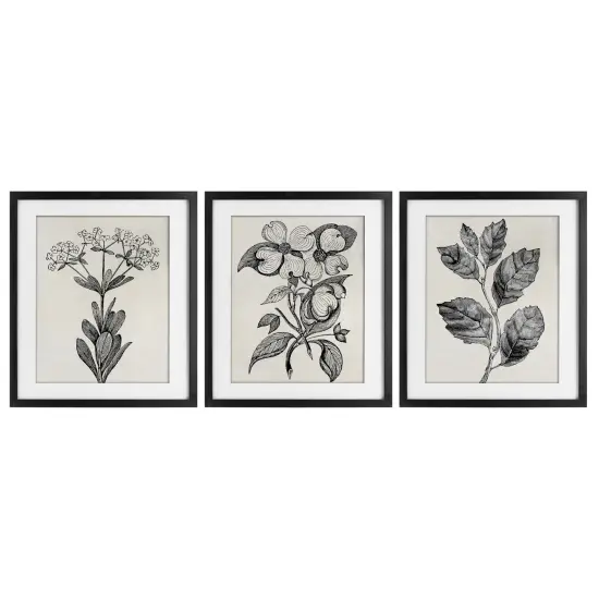 Stupell Industries Classic Natural Botanicals 3pc Framed Print Under Glass Set, design by Karen Smith {1}