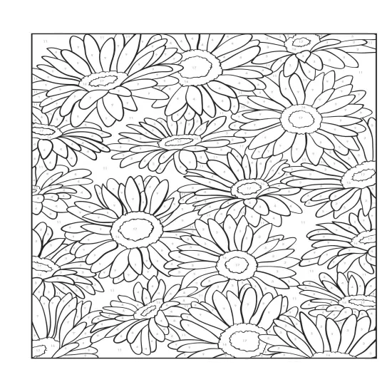 Creative Haven: Floral Design Coloring Book-Softcover {4}